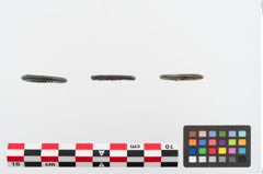 Foto von Bronzering (NHMW-PRAE-024758)